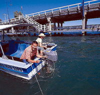 Comfort Inn Mandurah - Kawana Tourism