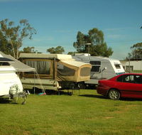 Crocodile Caravan   Camping Park - Kawana Tourism