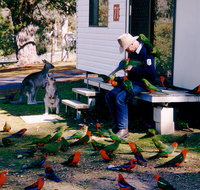 Inland Waters Holiday Parks Burrinjuck - Kawana Tourism