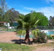 Lake Burrinjuck Leisure Resort - Kawana Tourism