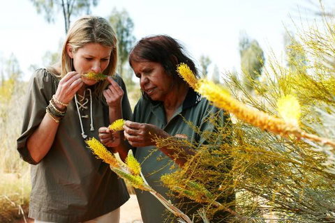 Outback Pioneer Hotel - Kawana Tourism 6