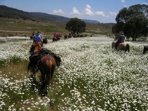 Reynella Kosciusko Rides Homestead - Kawana Tourism 7