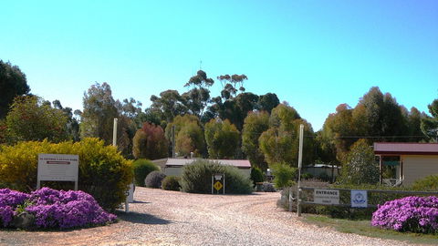 Gladstone Caravan Park - Kawana Tourism 6