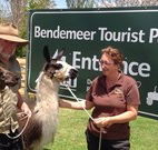 Bendemeer Tourist Park - Kawana Tourism