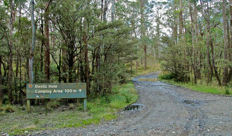 Barrington Tops NSW Kawana Tourism