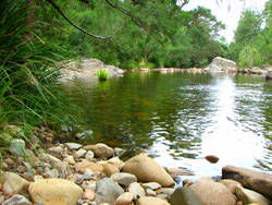 Riverwood Downs Mountain Valley Resort - Kawana Tourism 7