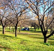 Wellington Caves Caravan Park - Kawana Tourism