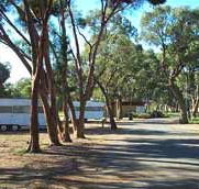 Wycheproof Caravan Park - Kawana Tourism