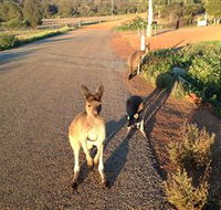 Bindoons Windmill Farm - Kawana Tourism