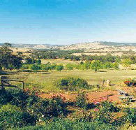 Pecan Hill Bed and Breakfast - Kawana Tourism