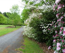 Laurel Hill Forest Lodge - Kawana Tourism 2