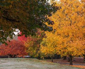 Laurel Hill Forest Lodge - Kawana Tourism 3
