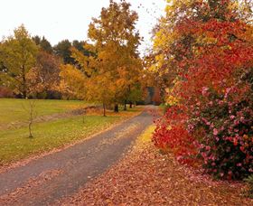 Laurel Hill Forest Lodge - Kawana Tourism 4