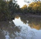 Four Mile Camping Reserve - Kawana Tourism