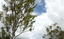 Glen Villa Resort And Tourist Park Casino - Kawana Tourism 0