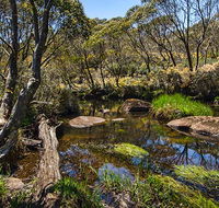 Junction Pools campground - Kawana Tourism