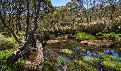 Junction Pools Campground - Kawana Tourism 0