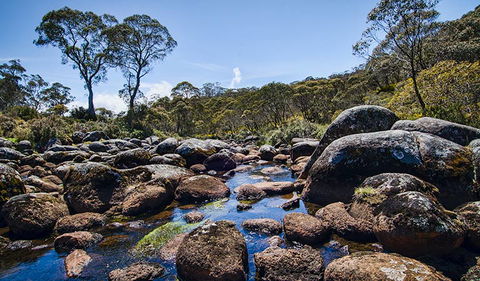 Junction Pools Campground - Kawana Tourism 2