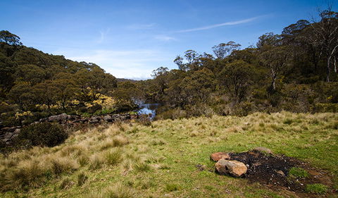Junction Pools Campground - Kawana Tourism 1