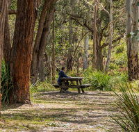 Koreelah Creek campground - Kawana Tourism