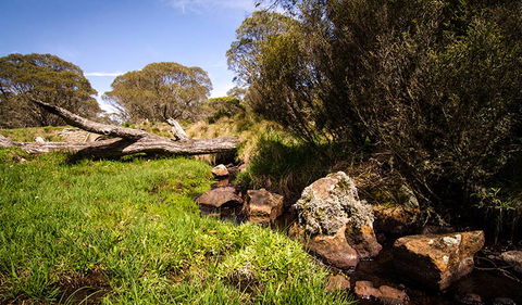 Little Murray Campground - Kawana Tourism 1