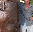 Michael's Clarence Valley Retreat - Kawana Tourism