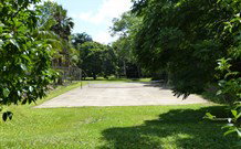 Mt Warning Rainforest Park - Kawana Tourism 3