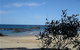 Mystery Bay Camping Area - thumb 4