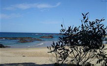 Mystery Bay Camping Area - Kawana Tourism 4