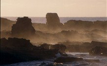 Mystery Bay Camping Area - Kawana Tourism 3
