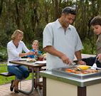Port Stephens Treescape - Kawana Tourism
