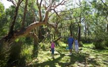 Port Stephens Treescape - Kawana Tourism 4