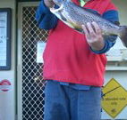 Rainbow Pines Tourist Caravan Park - Kawana Tourism