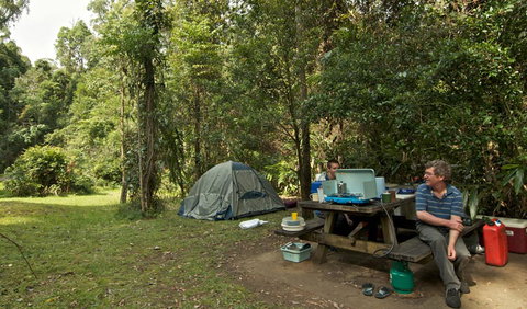 Sheepstation Creek Campground - Kawana Tourism 1