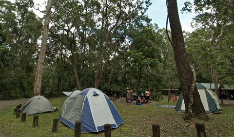 Sheepstation Creek Campground - Kawana Tourism 2