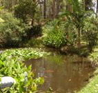 Tallowood Ridge B and B - Kawana Tourism