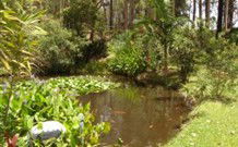 Tallowood Ridge B And B - Kawana Tourism 0