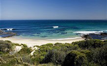 Ulladulla Headland Holiday Haven - Kawana Tourism 1