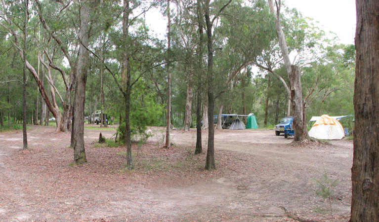 Wallingat NSW Kawana Tourism