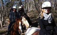 JE Resort (Jindabyne Equestrian Resort) - Kawana Tourism 1