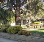 Hamilton Hume Motor Inn - Yass - Kawana Tourism