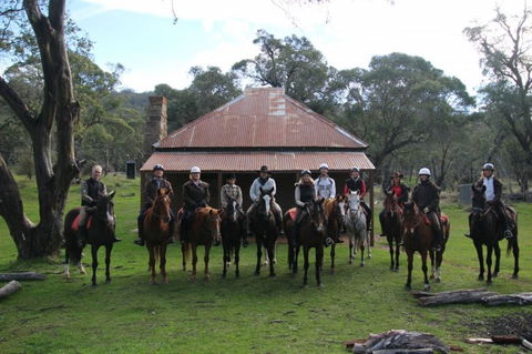 Reynella Homestead And Horseback Rides - Kawana Tourism 4