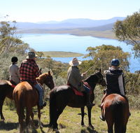 Reynella Homestead and Horseback Rides - Kawana Tourism