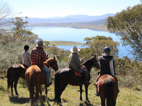 Reynella Homestead And Horseback Rides - Kawana Tourism 0