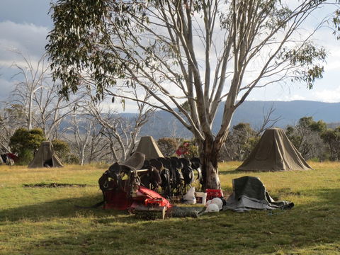 Reynella Homestead And Horseback Rides - Kawana Tourism 1