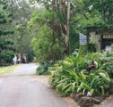 Tamborine Mountain Caravan  Camping - Kawana Tourism