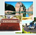 Red Gum Tourist Park - Kawana Tourism