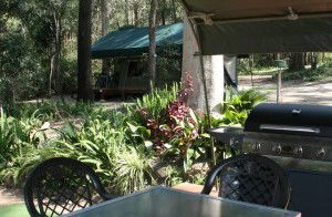 Tamborine Mountain Caravan & Camping - Kawana Tourism 2