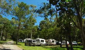 Tamborine Mountain Caravan & Camping - Kawana Tourism 3