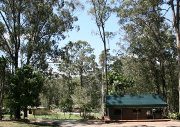 Tamborine Mountain Caravan & Camping - Kawana Tourism 4